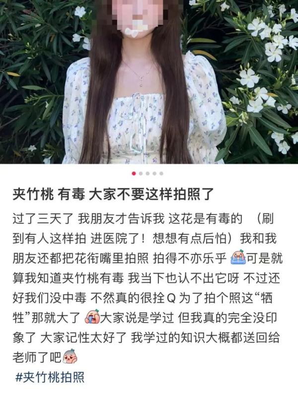 女孩含着它拍照后中毒！这种花深圳路边很常见…