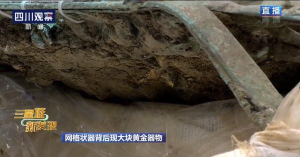 三星堆龟背形网格状器最新情况！背后现大块黄金器物
