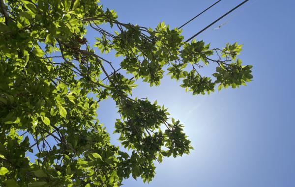 青海晴热天气持续！大热天，这8件“危险事”别做！