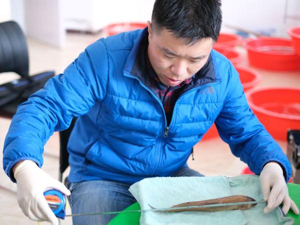 气候变暖影响鱼卵发育?江源科考中的鱼类胚胎发育实验告诉我们答案 气候变暖影响鱼卵发育?江源科考中的鱼类胚胎发育实验告诉我们答案