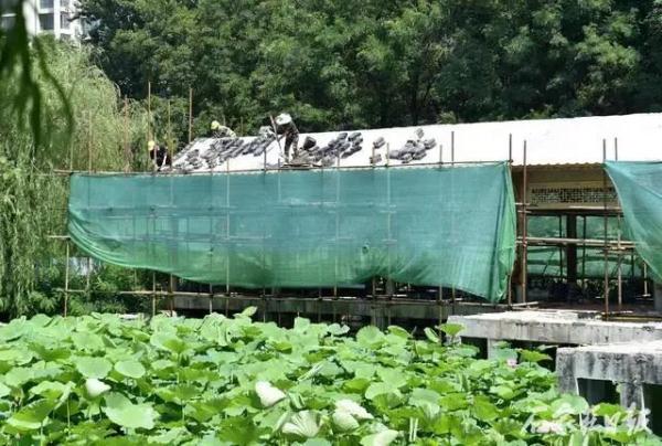美景可期！石家庄长安公园提升改造进行时