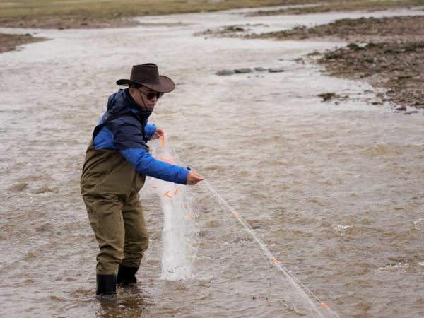 气候变暖影响鱼卵发育?江源科考中的鱼类胚胎发育实验告诉我们答案 气候变暖影响鱼卵发育?江源科考中的鱼类胚胎发育实验告诉我们答案