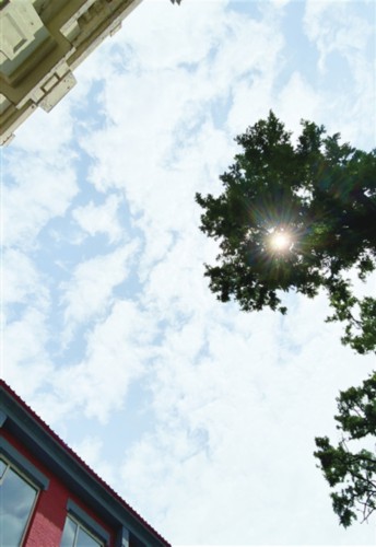 囧途不囧 她的“熊抱” 就像这束光 暖透沈城