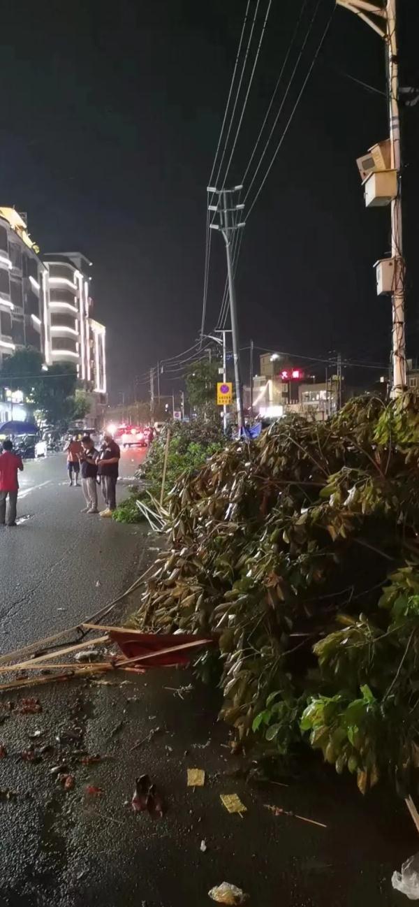 广州一地昨晚出现龙卷风，街道停电、树倒棚塌！广州天气回应→