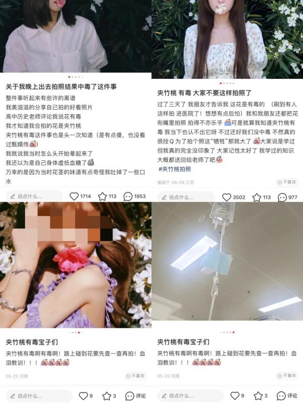 女孩含花拍照中毒，网友: 《甄嬛传》早有"科普"