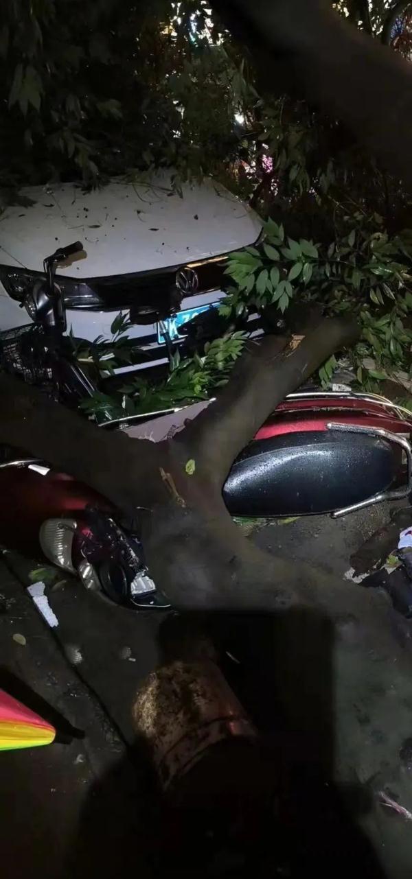 龙卷风夜袭广州，网友近距离还原第一现场