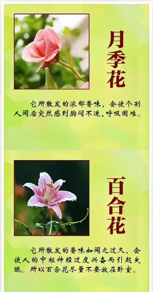 女孩含花拍照中毒，网友: 《甄嬛传》早有"科普"