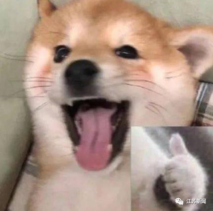 不是脱口秀，这是高数课！南京95后学长讲高数走红网络