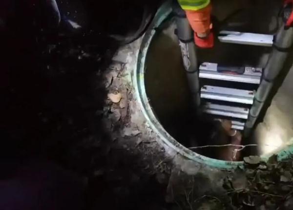 “不要救我,我太臭了!” “不要救我,我太臭了!”