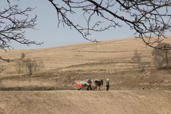 “刚强兄弟”,了不起! “刚强兄弟”,了不起!