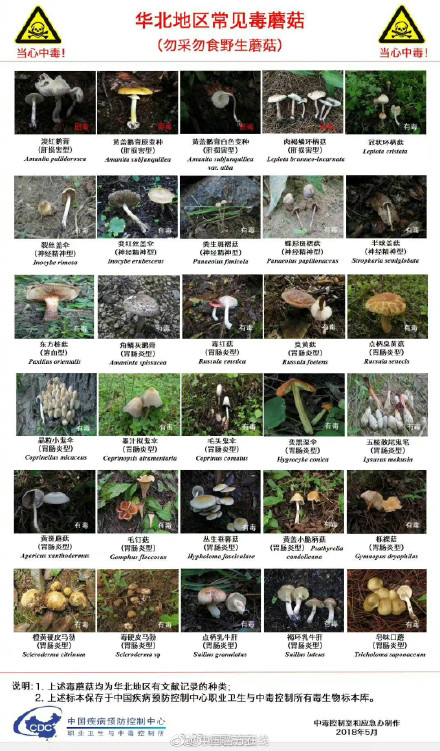 我国各地区常见毒蘑菇图谱，转发收藏