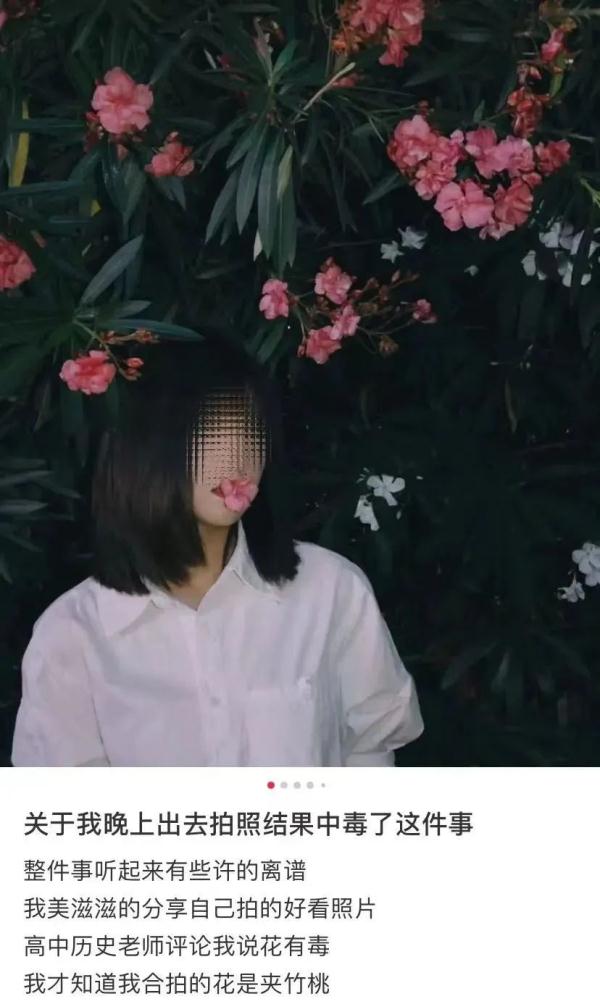 疾控最新提醒！这种常见花，有毒！