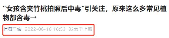 疾控最新提醒！这种常见花，有毒！