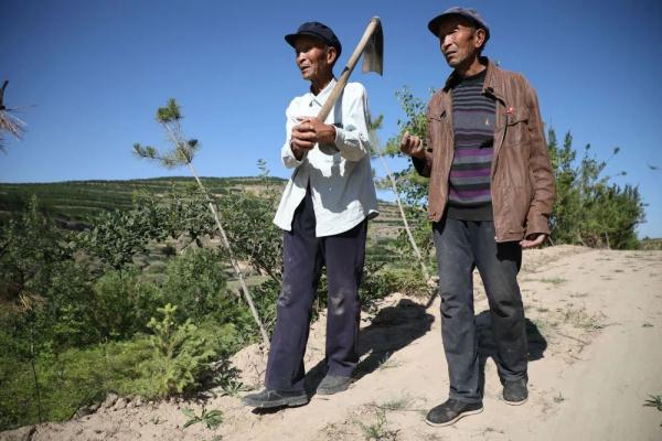 “刚强兄弟”,了不起! “刚强兄弟”,了不起!