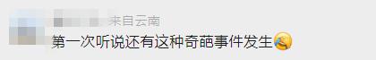 违停后轮胎被锁，男子神操作把车开走！网友看呆了……
