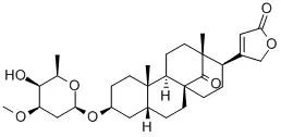 疾控最新提醒！这种常见花，有毒！