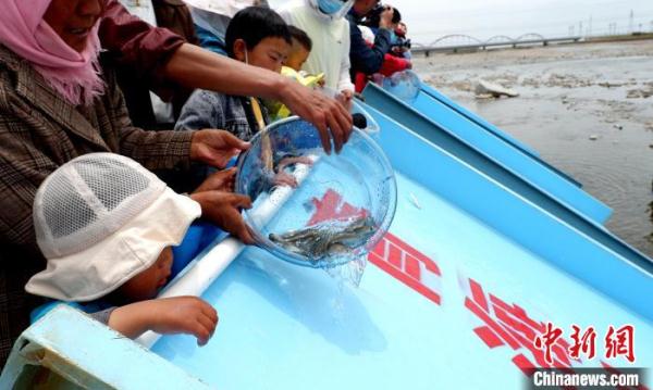 濒危物种青海湖裸鲤恢复到10.85万吨 是保护初期42倍
