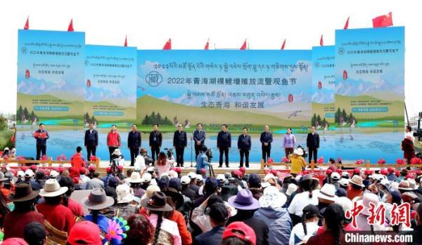 濒危物种青海湖裸鲤恢复到10.85万吨 是保护初期42倍