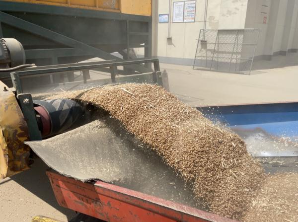 从地头到粮库一粒小麦要经历哪些关卡