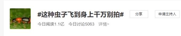 剧毒！遇到这种虫子千万别拍！多人受伤