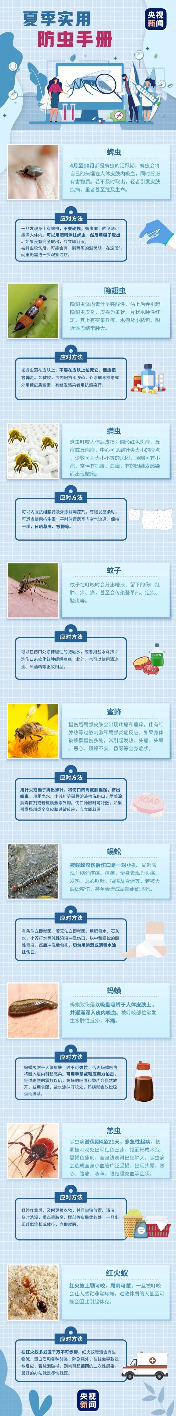 注意！这种虫子夏天很常见，千万别用手拍……