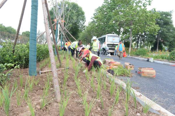 河北白沟新城:改造提升城市道路 河北白沟新城:改造提升城市道路