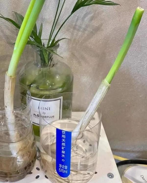 日本设计师给这家花店画了幅画加油打气！一个月后见证小店重拾烟火气