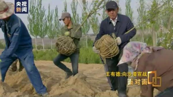 向沙漠宣战 访“人民楷模”国家荣誉称号获得者王有德