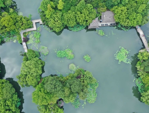 夏至已至，来日方长