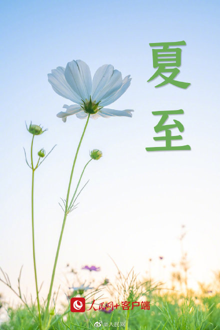 夏至小清新壁纸,送给爱夏天的你 夏至小清新壁纸,送给爱夏天的你