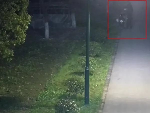 大肆“摘取”免费食物，栽了！