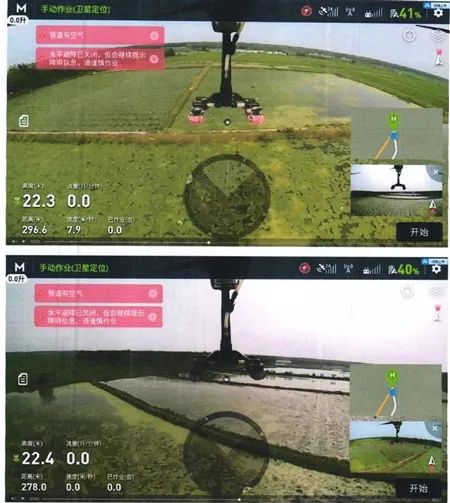 作物大面积枯死,竟是大风惹的祸? 作物大面积枯死,竟是大风惹的祸?