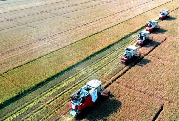 今日夏至!最长白昼过后,广东雨势将逐渐减弱,高温重回“C位” 今日夏至!最长白昼过后,广东雨势将逐渐减弱,高温重回“C位”