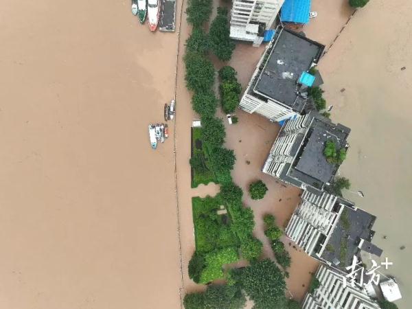 紧急提醒！韶关发布停工公告，这些人员迅速往高处避险