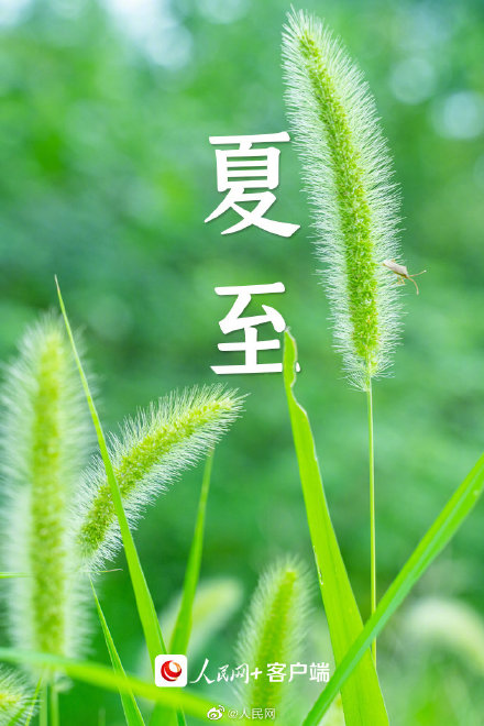 夏至小清新壁纸,送给爱夏天的你 夏至小清新壁纸,送给爱夏天的你