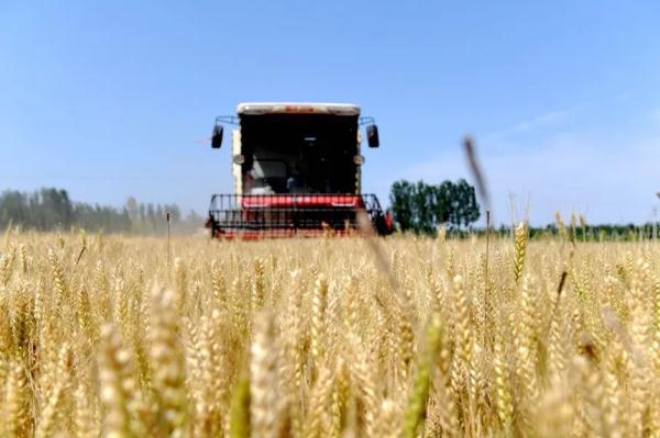 今日夏至!最长白昼过后,广东雨势将逐渐减弱,高温重回“C位” 今日夏至!最长白昼过后,广东雨势将逐渐减弱,高温重回“C位”