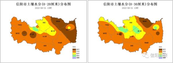 大到暴雨、短时强降水、雷暴大风!信阳发布重要天气预报 大到暴雨、短时强降水、雷暴大风!信阳发布重要天气预报