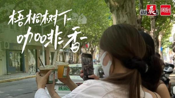 上海这杯“绿码咖啡”走红 上海这杯“绿码咖啡”走红