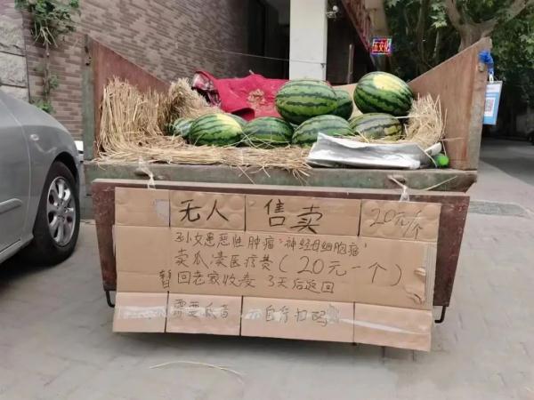 “20元/个，3天后返回”，这个无人西瓜摊火了！结局让人泪目