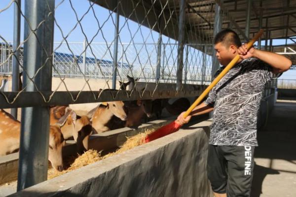 阿拉善“90后”小伙儿:养殖梅花鹿 走上致富路 阿拉善“90后”小伙儿:养殖梅花鹿 走上致富路