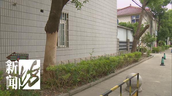 路边香樟树被扒皮，下毒手的竟是…上海这个别墅区的居民吵翻了！
