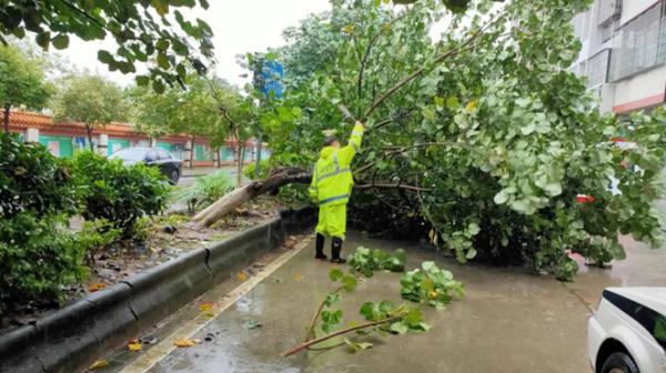 婴儿出生3天被困洪水！营救中竟然全程安睡