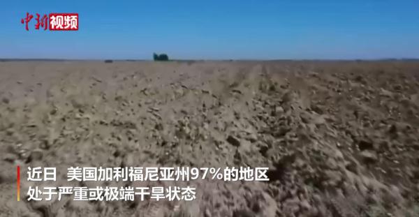 美国加州97%的地区处于严重或极端干旱状态 美国加州97%的地区处于严重或极端干旱状态