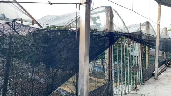 解气！这个爱“偷鸡摸蛋”的贼被海宁警方抓住了！