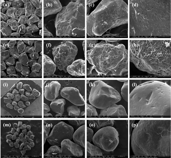 海南岛这些沙子为何会“唱歌”?怎么保护?科学家作出解答 海南岛这些沙子为何会“唱歌”?怎么保护?科学家作出解答