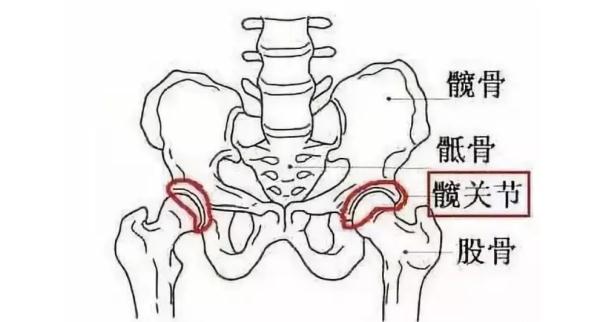 祝晓雯认为