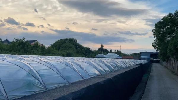 解气！这个爱“偷鸡摸蛋”的贼被海宁警方抓住了！