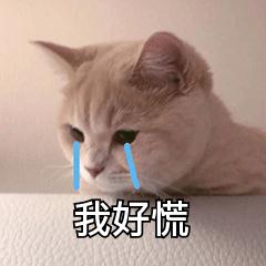 高考查分能有多激动？他们的反应太真实了！