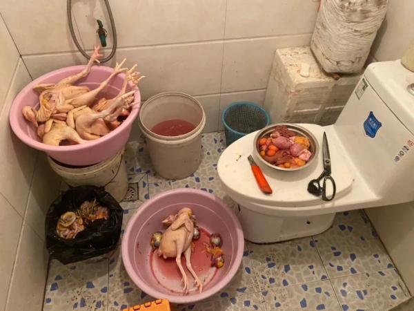 解气！这个爱“偷鸡摸蛋”的贼被海宁警方抓住了！