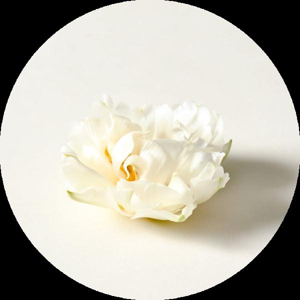 海南岛这些沙子为何会“唱歌”?怎么保护?科学家作出解答 海南岛这些沙子为何会“唱歌”?怎么保护?科学家作出解答